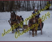 1CHARMEY219