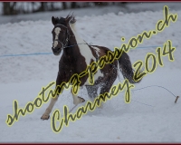 1CHARMEY246