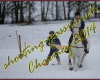 1CHARMEY285