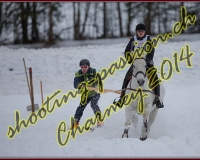 1CHARMEY286