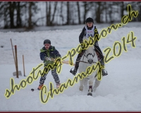 1CHARMEY287