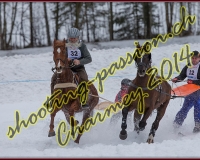 1CHARMEY318