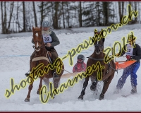 1CHARMEY319