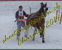 1CHARMEY329