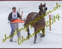 1CHARMEY333