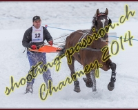 1CHARMEY334