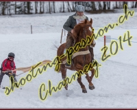 1CHARMEY337