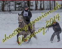 1CHARMEY376