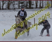 1CHARMEY378