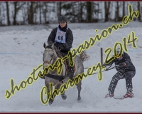 1CHARMEY379