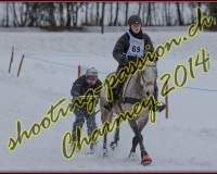 1CHARMEY384