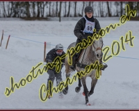 1CHARMEY385