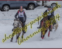 1CHARMEY413