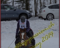 1CHARMEY484