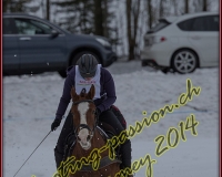 1CHARMEY485