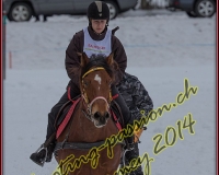 1CHARMEY493