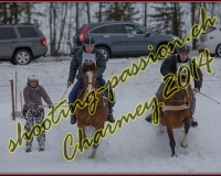1CHARMEY611