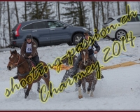 1CHARMEY624