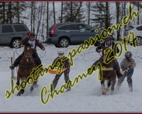1CHARMEY643