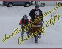 1CHARMEY732