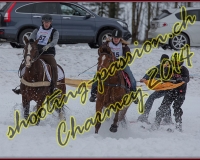 2CHARMEY015