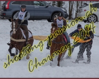2CHARMEY016