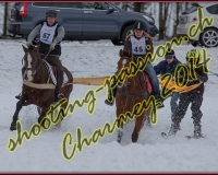 2CHARMEY017