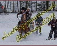 2CHARMEY031