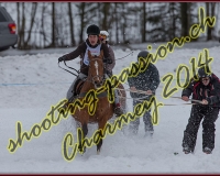 2CHARMEY032