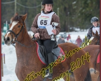 2CHARMEY087