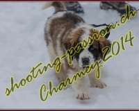 2CHARMEY109
