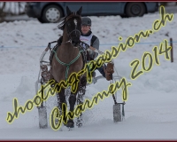 2CHARMEY113