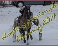 2CHARMEY116