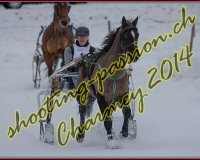 2CHARMEY117