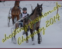 2CHARMEY118