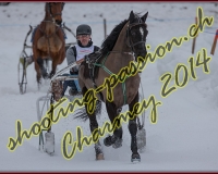 2CHARMEY119