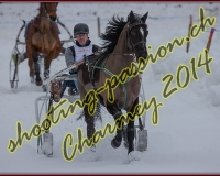 2CHARMEY120