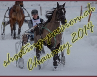 2CHARMEY121