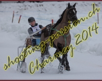 2CHARMEY124