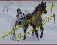 2CHARMEY126