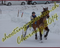 2CHARMEY127