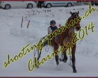 2CHARMEY129