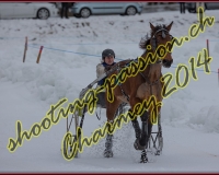 2CHARMEY131