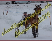 2CHARMEY132