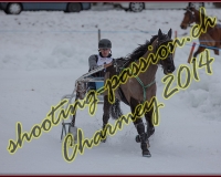 2CHARMEY133