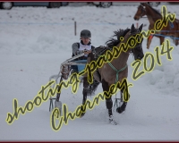 2CHARMEY134