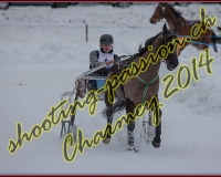 2CHARMEY135