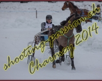 2CHARMEY136