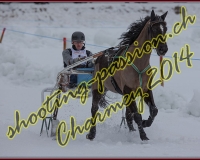2CHARMEY137