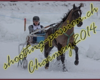 2CHARMEY138